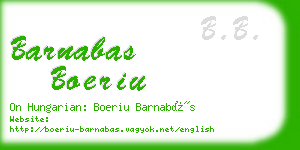 barnabas boeriu business card